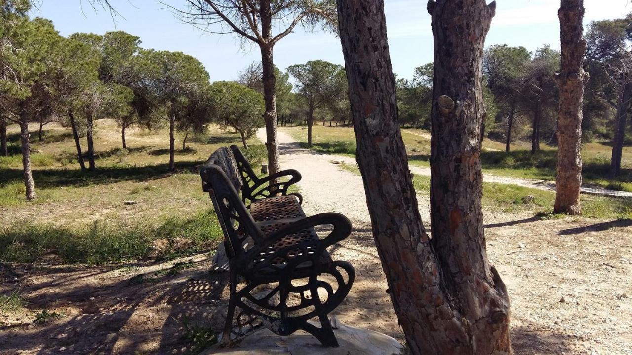 Studio Bellavista Appartement La Mata  Buitenkant foto